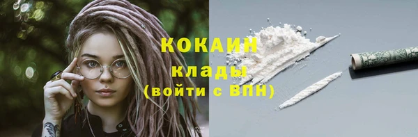дживик Богородицк