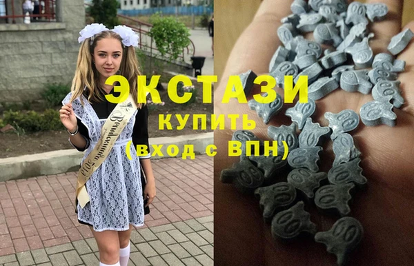 дживик Богородицк
