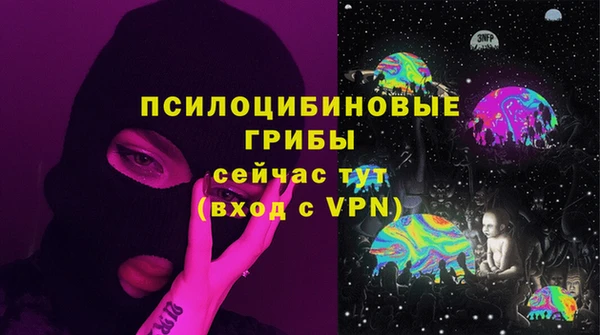 дживик Богородицк