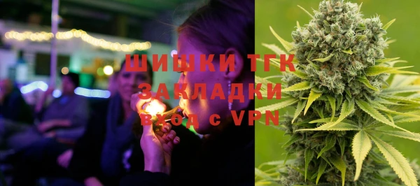 дживик Богородицк