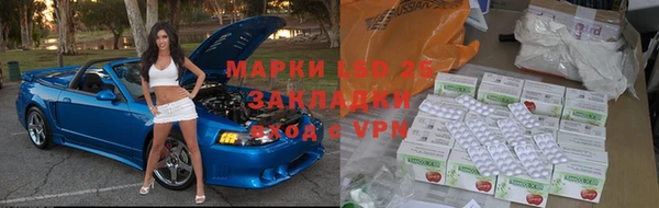 дживик Богородицк